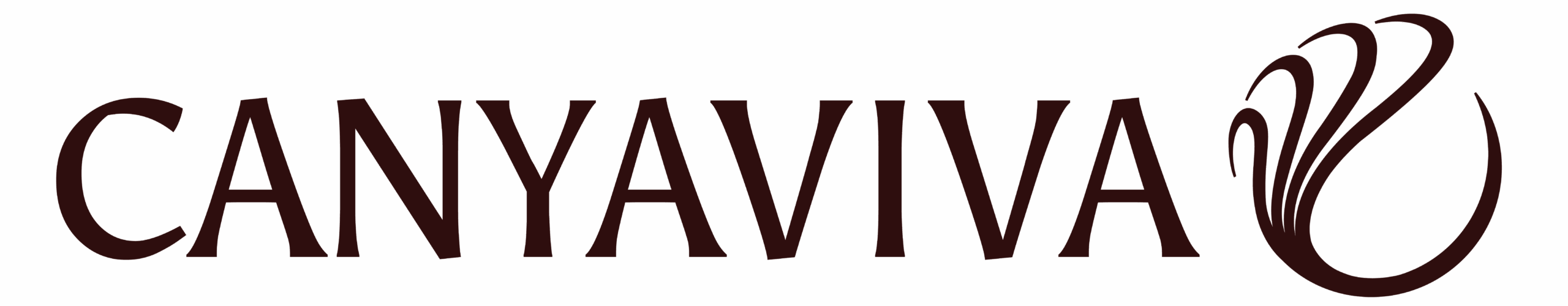 Canyaviva Bioconstrucción