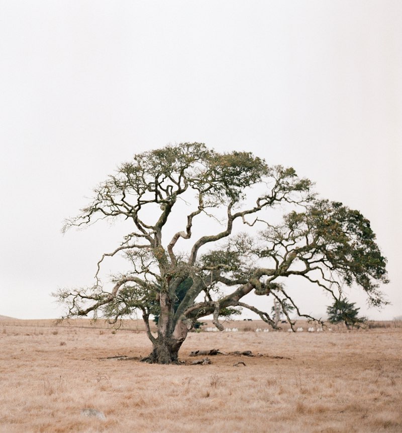 rural_life_05