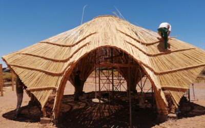 2019 SAN PEDRO DE ATACAMA-CHILE