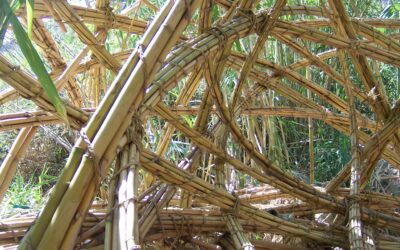 2005 LOS MOLINOS ALMERIA