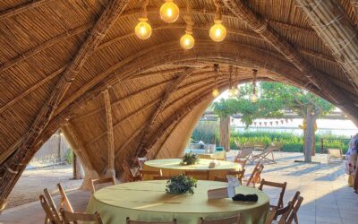 2025 EL PALMAR VALENCIA